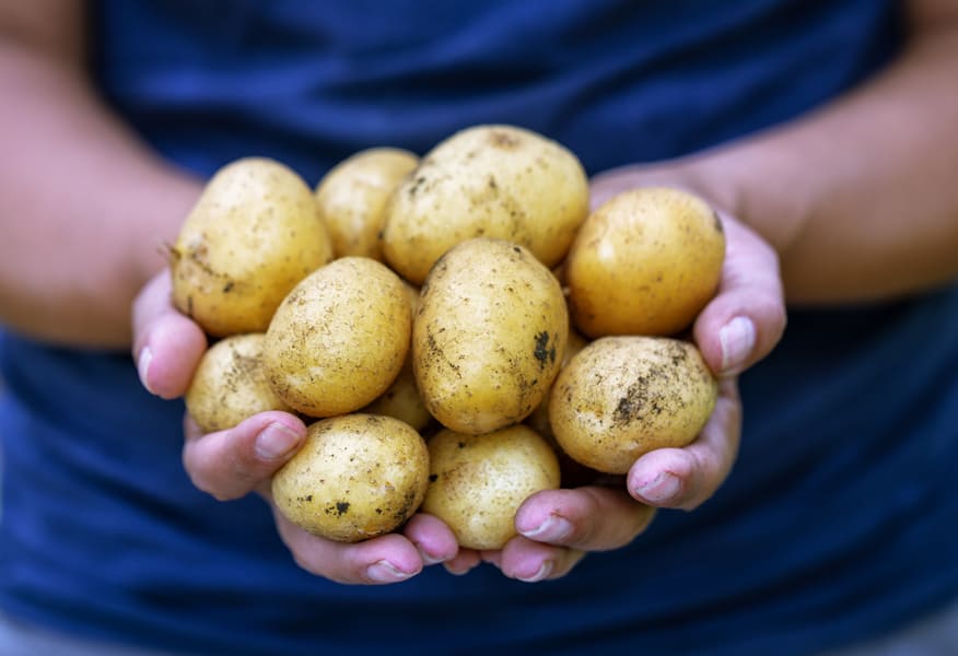 agricultural system that limits the use of fertilizers and pesticides